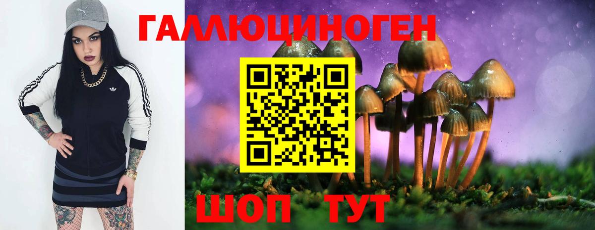 Псилоцибиновые грибы GOLDEN TEACHER  Вход с VPN  Пыть-Ях 